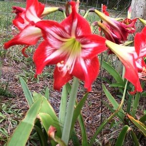 Meet your Posher, Margaret